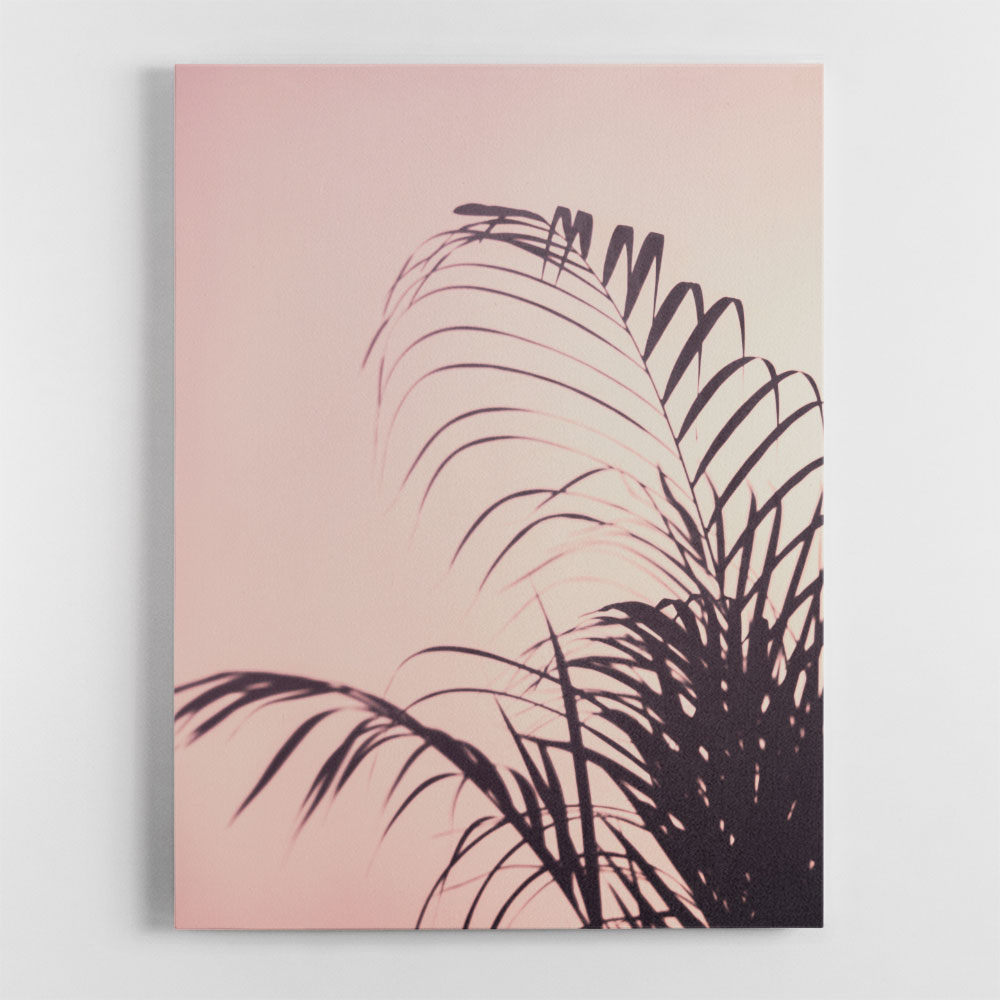 Palm Leaves 1