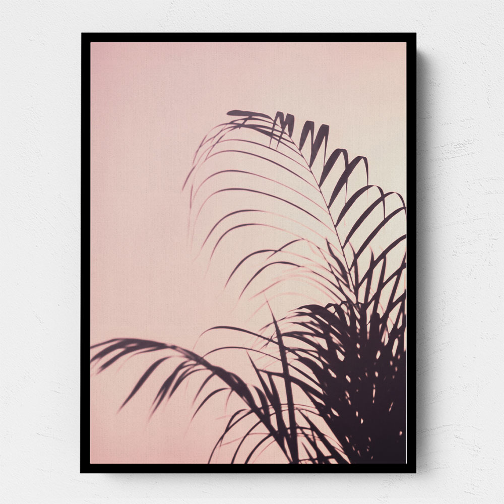 Palm Leaves 1 Palm Leaves 1