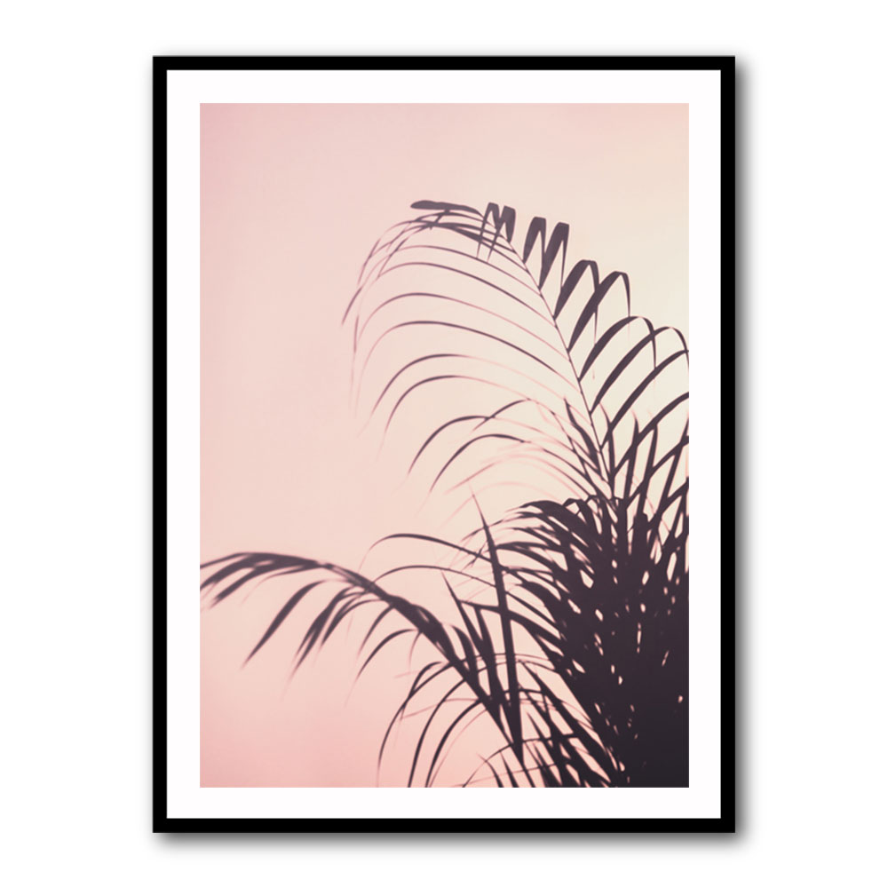 Palm Leaves 1