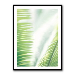 Light Palm tree leaves 2