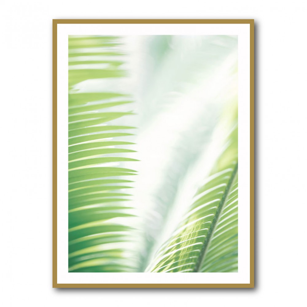 Light Palm tree leaves 2