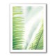 Light Palm tree leaves 2