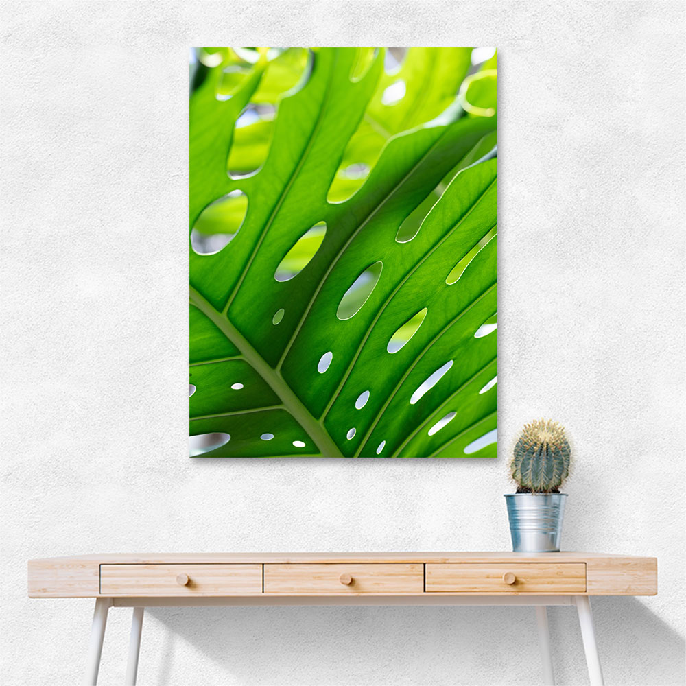 Graphic Leaf 1 Graphic Leaf 1