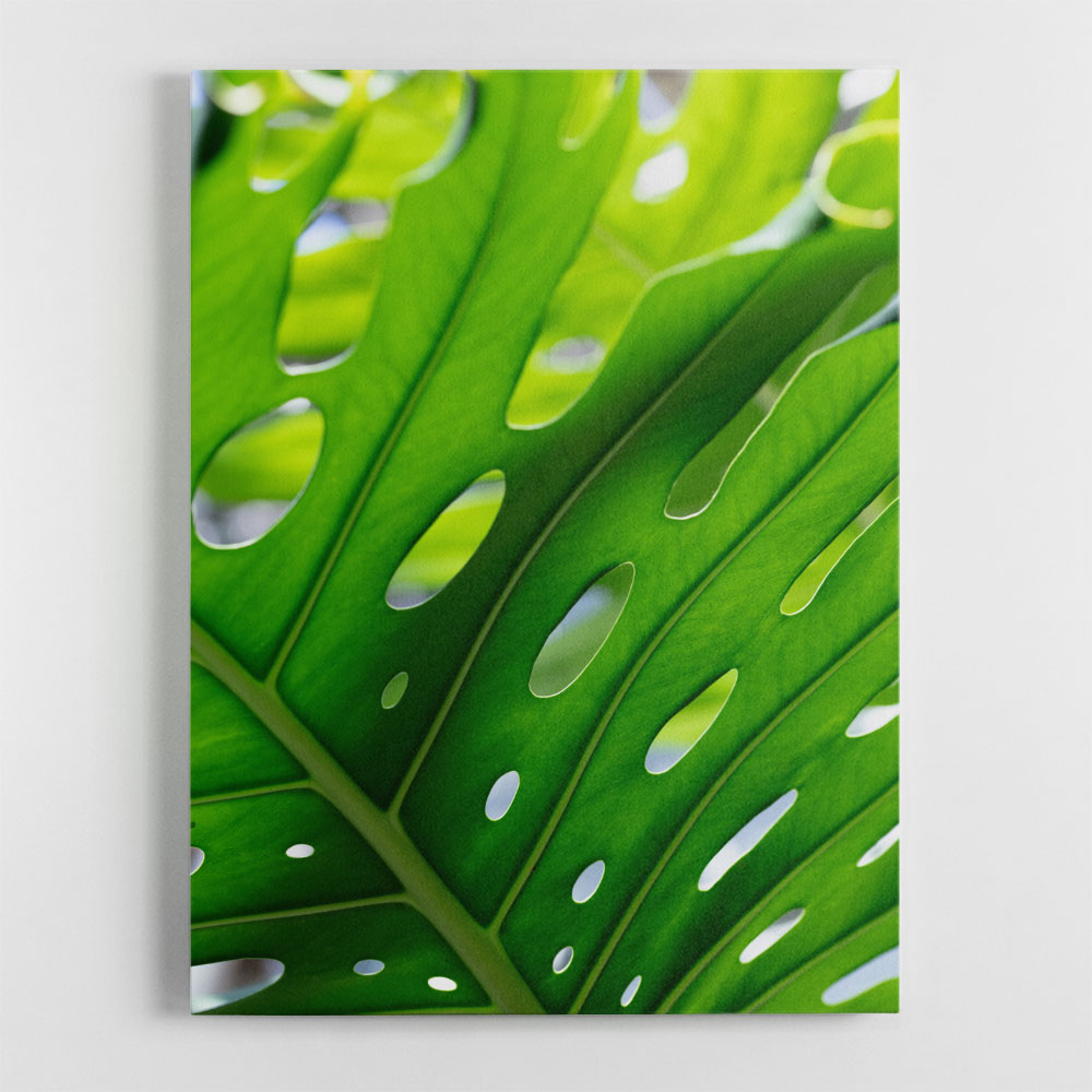 Graphic Leaf 1 Graphic Leaf 1