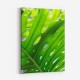 Graphic Leaf 1 Graphic Leaf 1