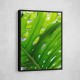 Graphic Leaf 1 Graphic Leaf 1
