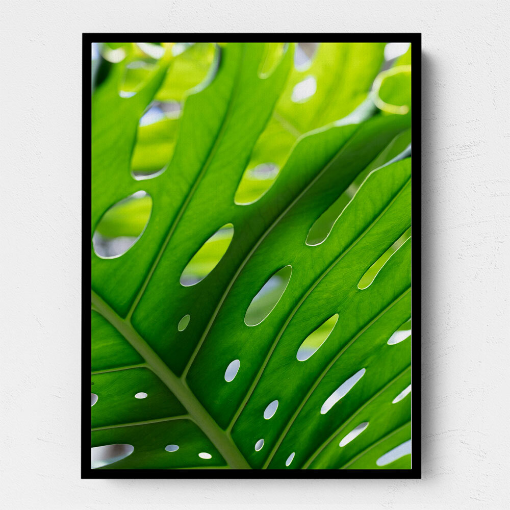 Graphic Leaf 1 Graphic Leaf 1