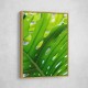 Graphic Leaf 1 Graphic Leaf 1