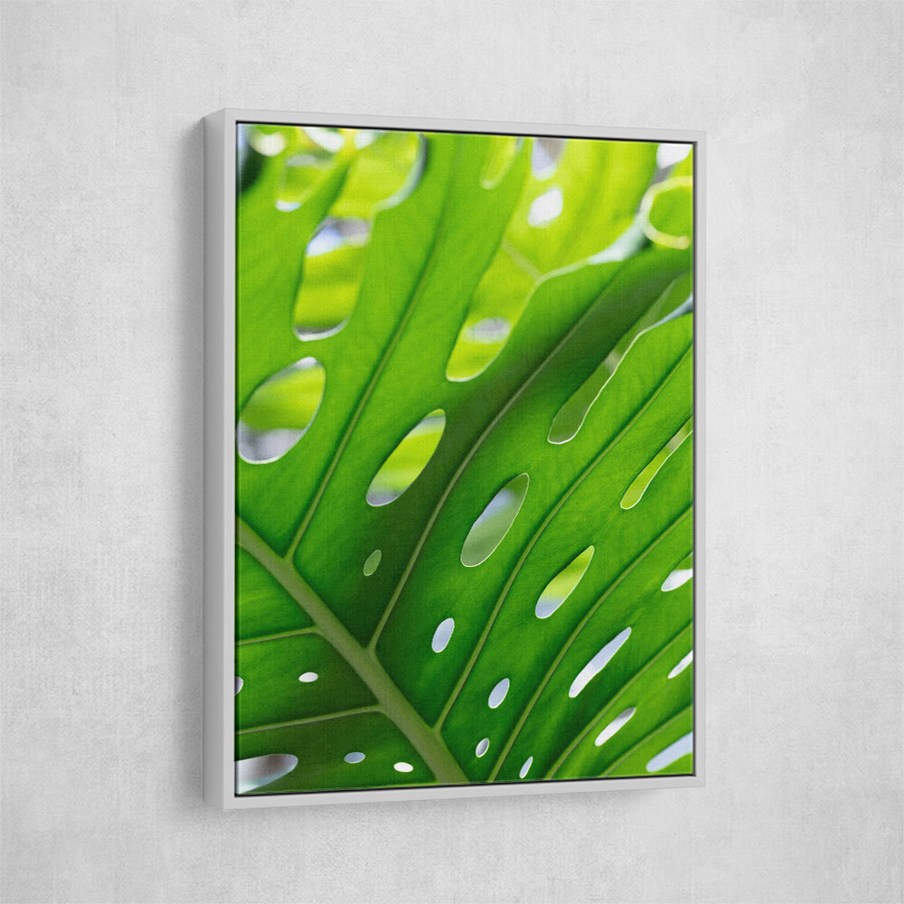 Graphic Leaf 1 Graphic Leaf 1