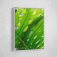Graphic Leaf 1 Graphic Leaf 1
