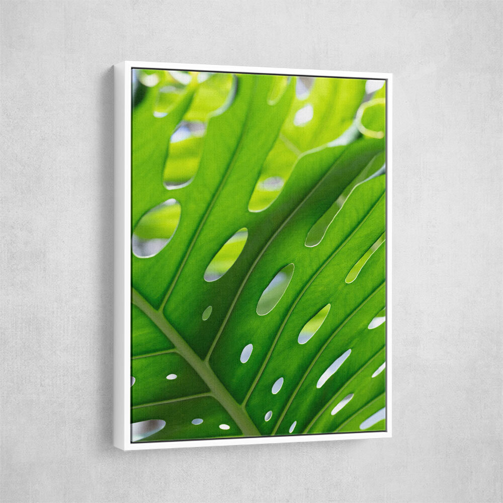 Graphic Leaf 1 Graphic Leaf 1