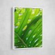Graphic Leaf 1 Graphic Leaf 1