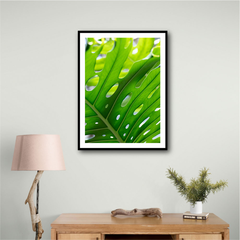 Graphic Leaf 1 Graphic Leaf 1