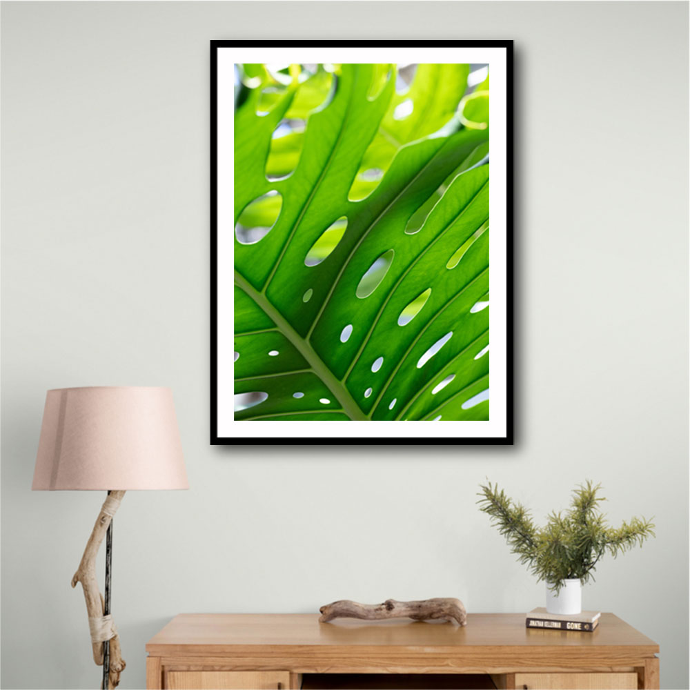 Graphic Leaf 1 Graphic Leaf 1