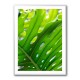 Graphic Leaf 1 Graphic Leaf 1