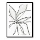 Fragile Flower Fragile Flower
