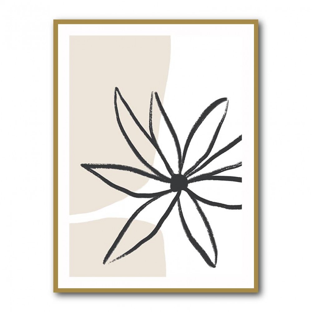 Flower and Cream Flower and Cream