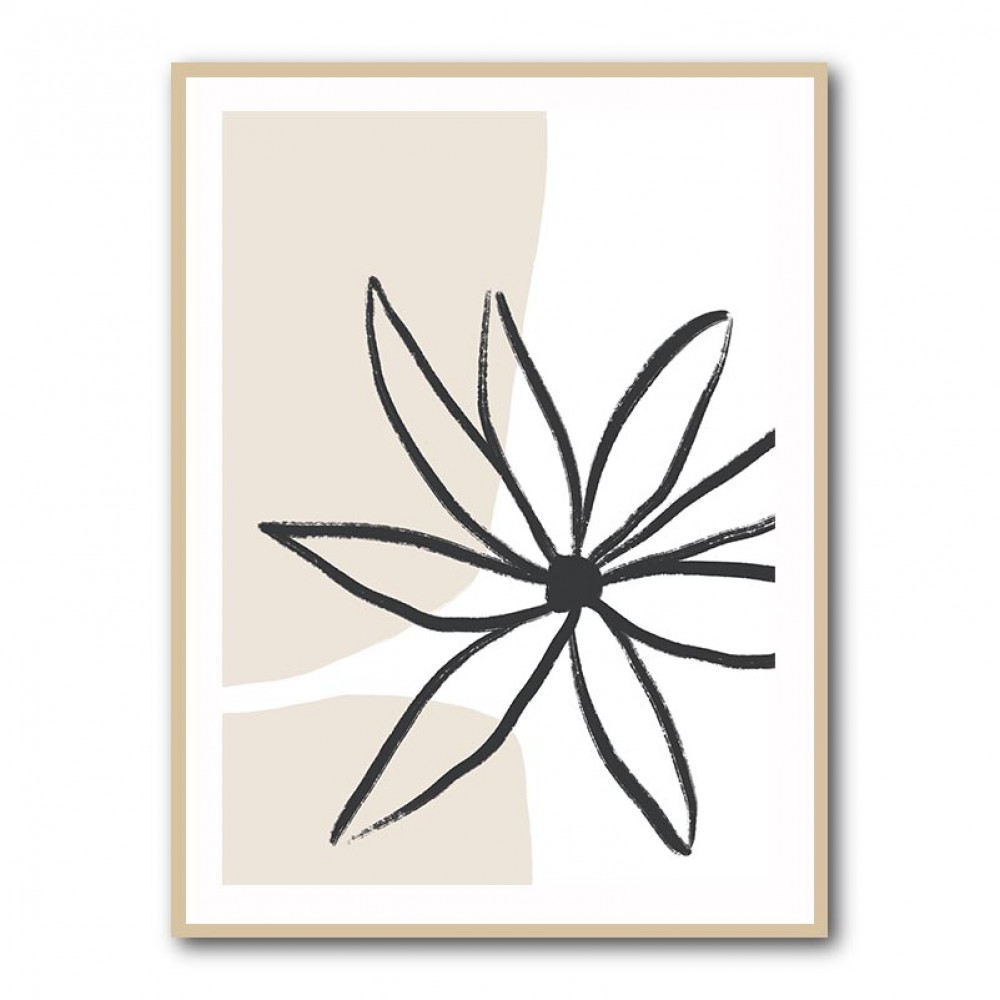 Flower and Cream Flower and Cream