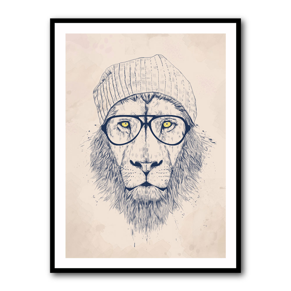 Cool Lion Cool Lion