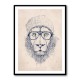Cool Lion Cool Lion