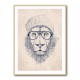 Cool Lion Cool Lion
