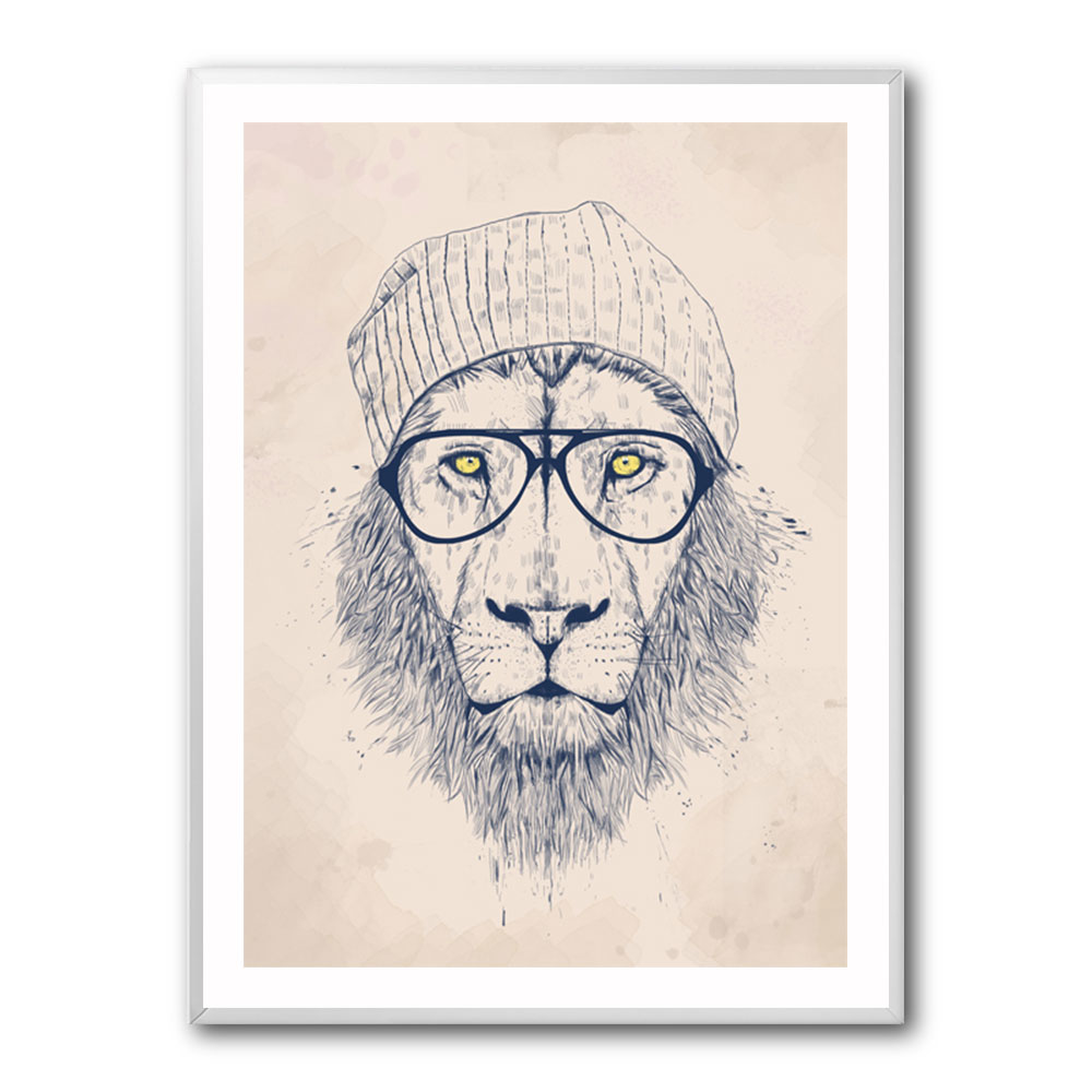 Cool Lion Cool Lion