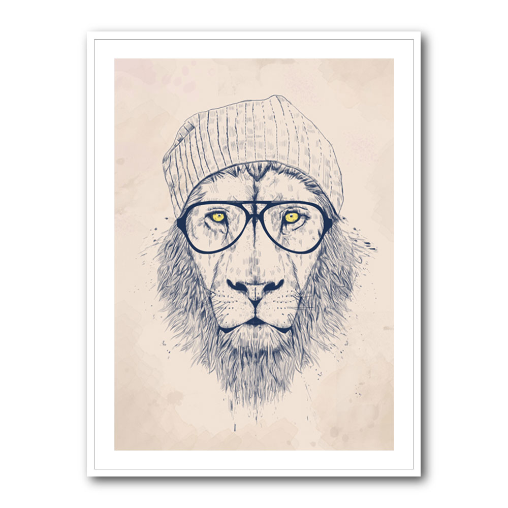 Cool Lion Cool Lion