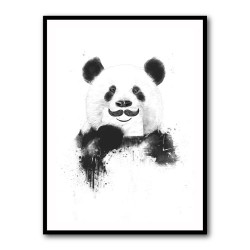 Funny Panda