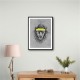 Hipster Lion Hipster Lion