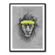 Hipster Lion Hipster Lion