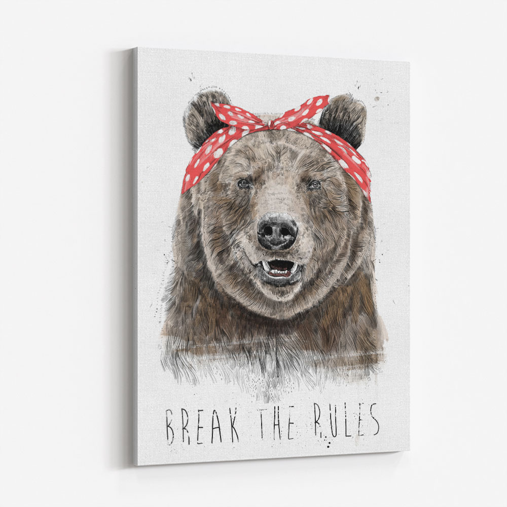 Break The Rules Bear