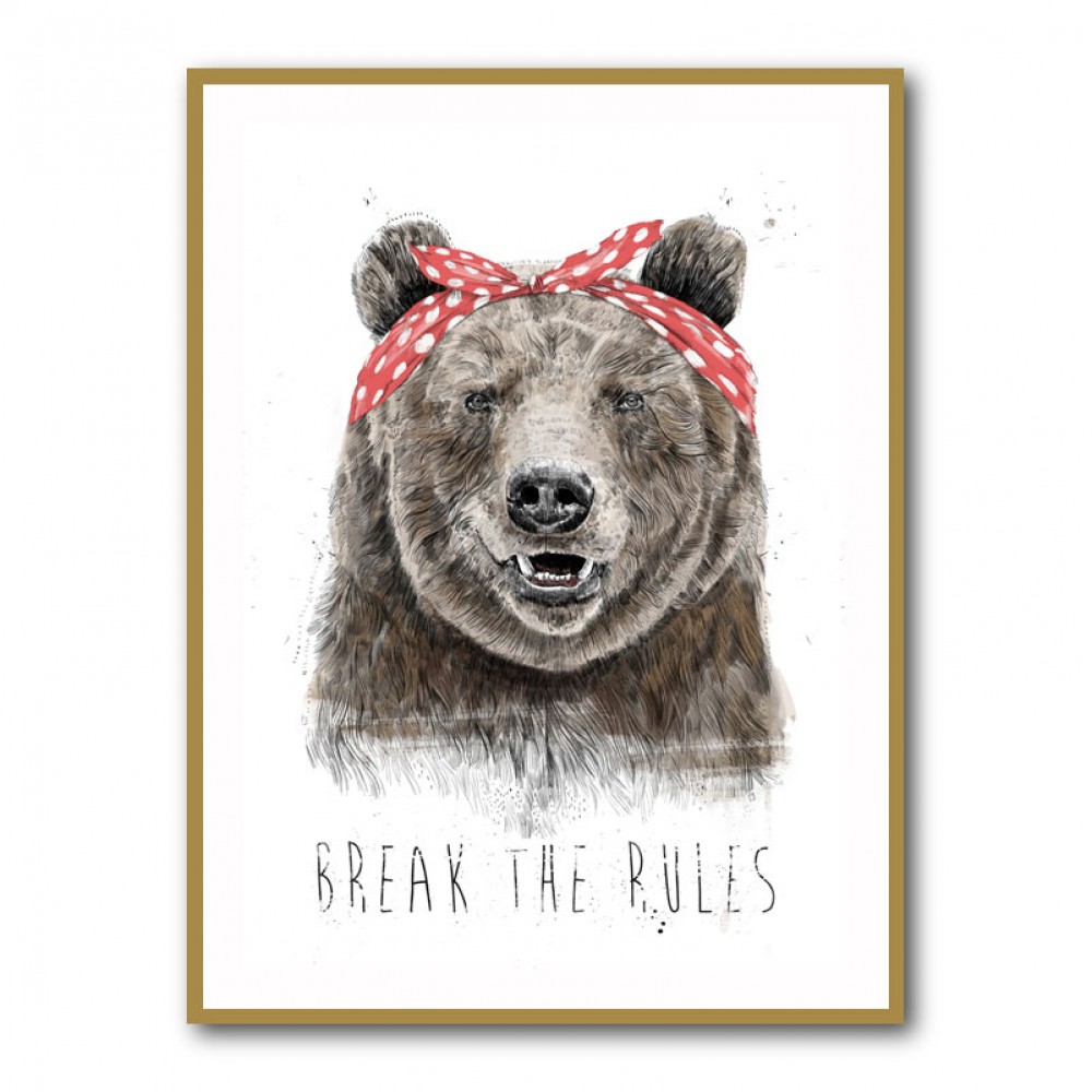 Break The Rules Bear