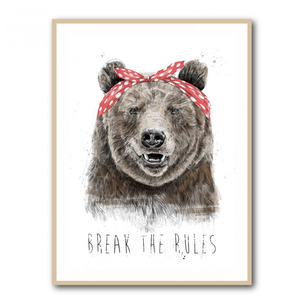 Break The Rules Bear