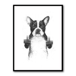 Censored Dog