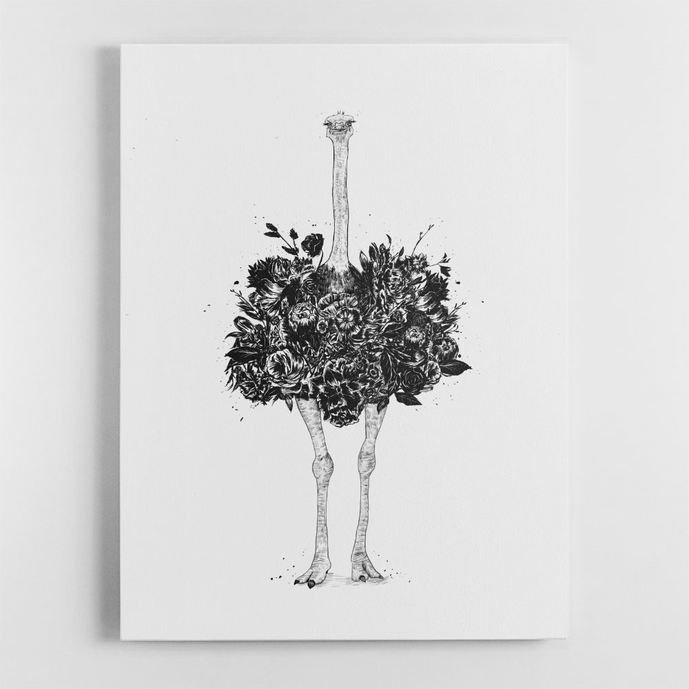 Floral Ostrich