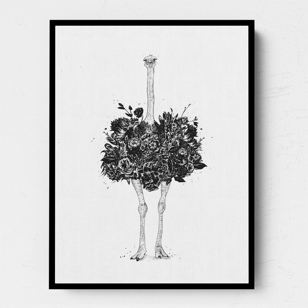 Floral Ostrich