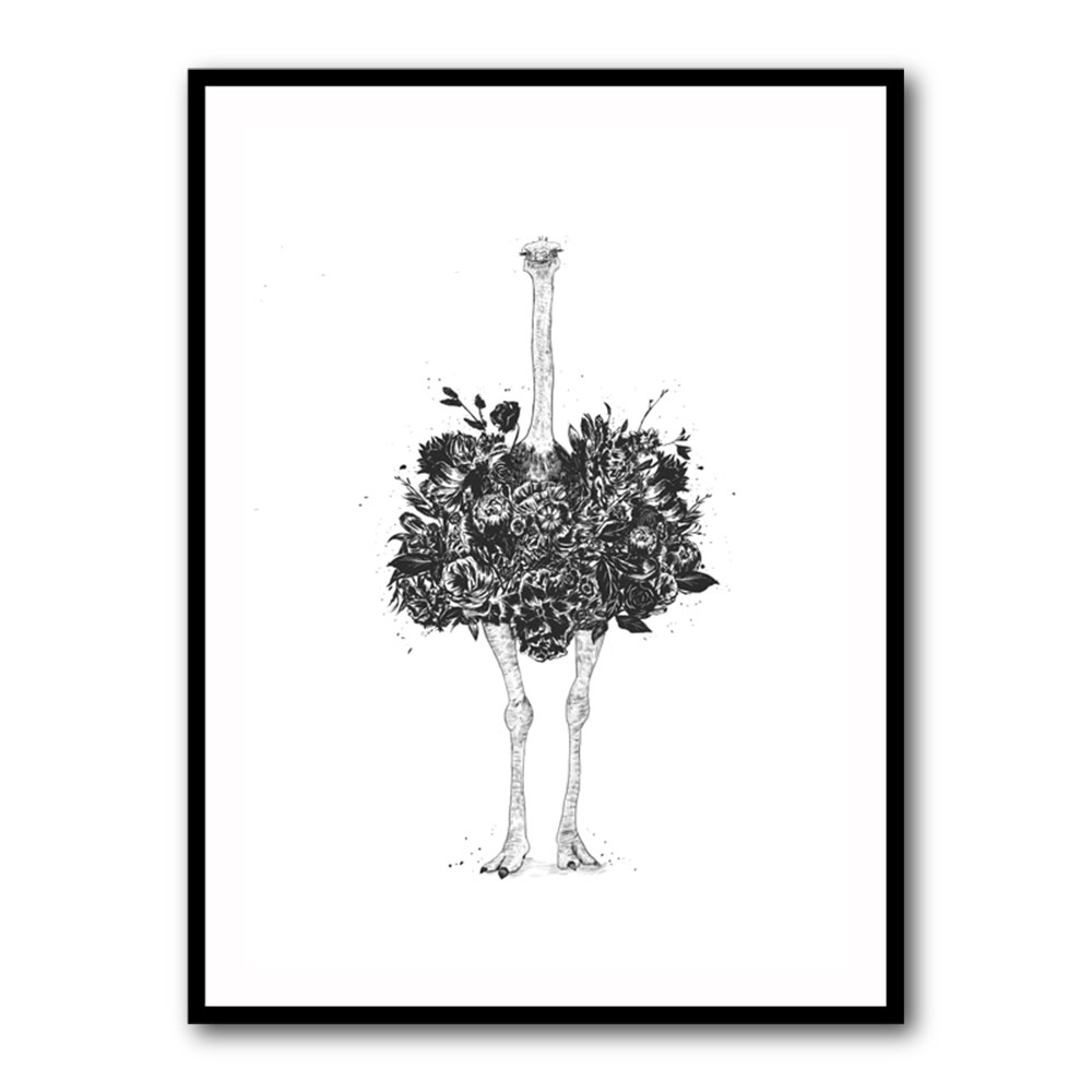 Floral Ostrich