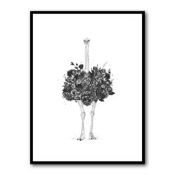 Floral Ostrich