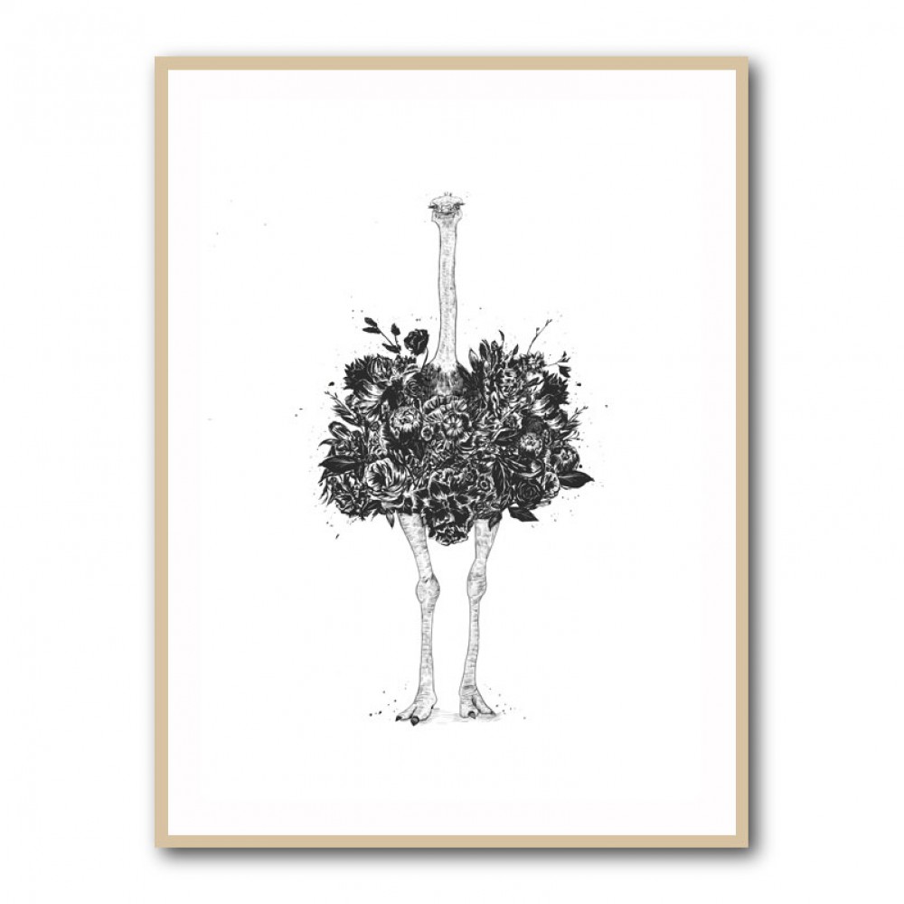 Floral Ostrich Floral Ostrich
