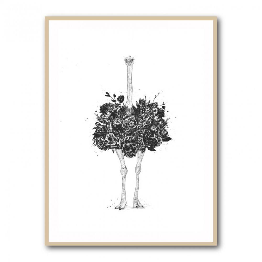 Floral Ostrich