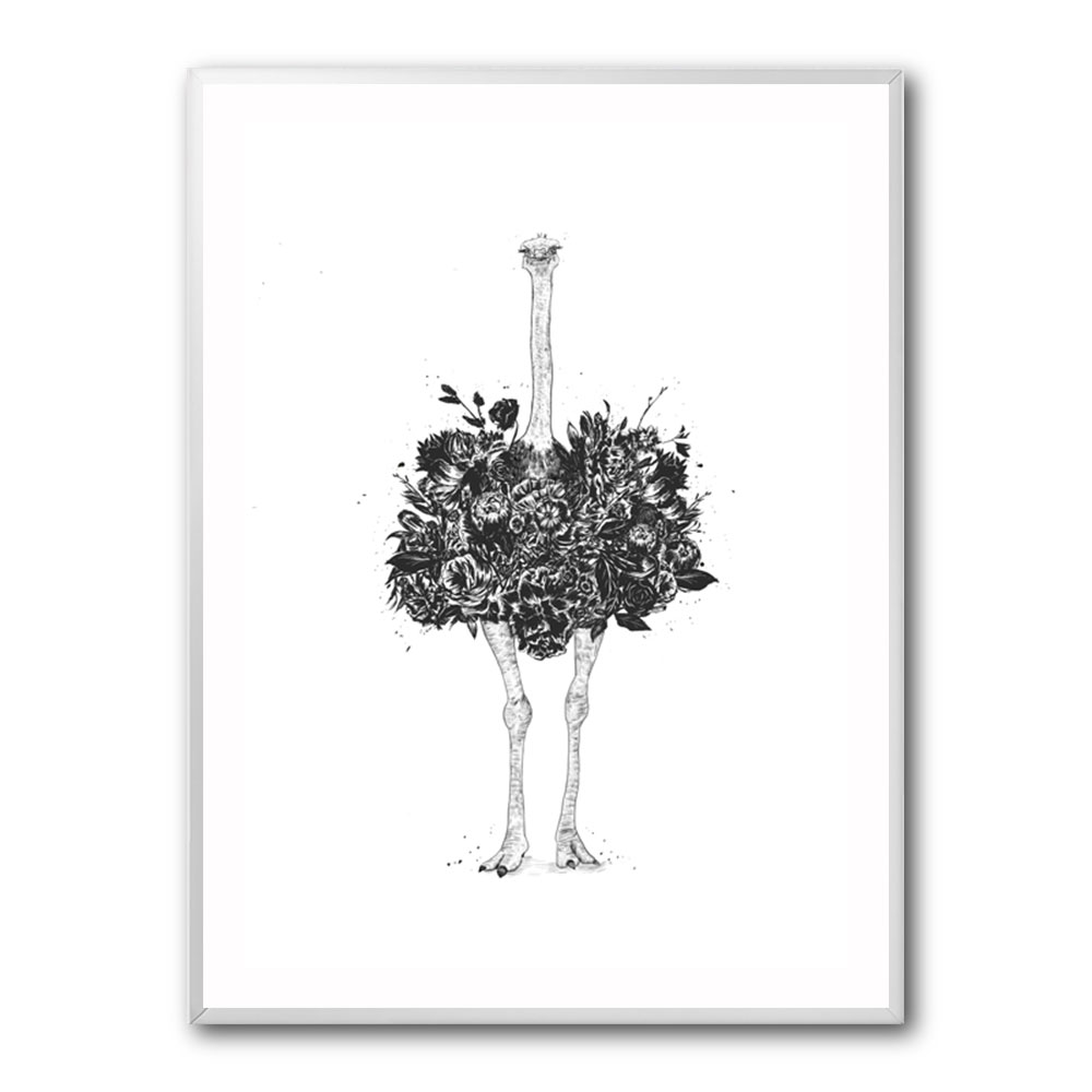 Floral Ostrich