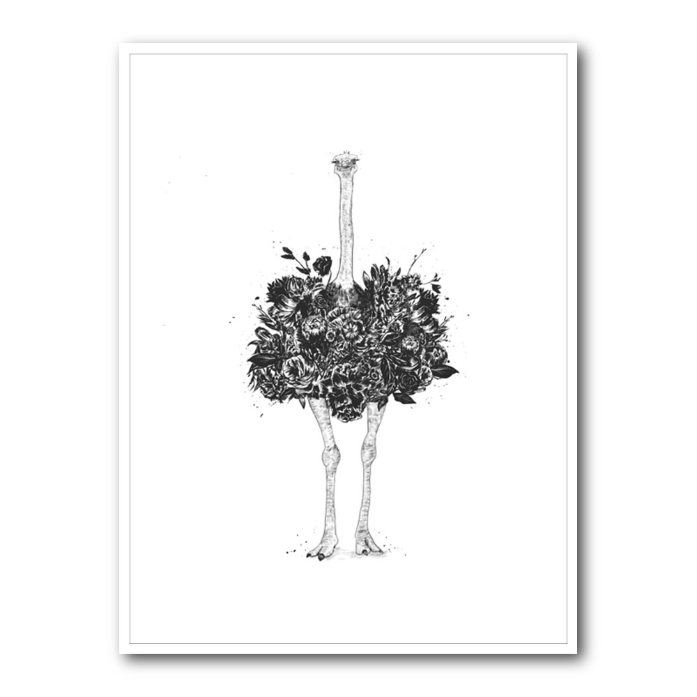 Floral Ostrich
