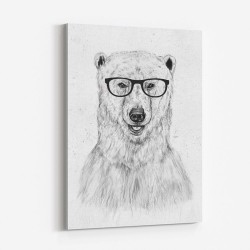 Geek Bear by Balazs Solti