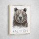 Ring My Bear Ring My Bear