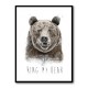 Ring My Bear Ring My Bear