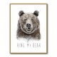 Ring My Bear Ring My Bear