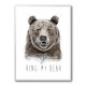Ring My Bear Ring My Bear
