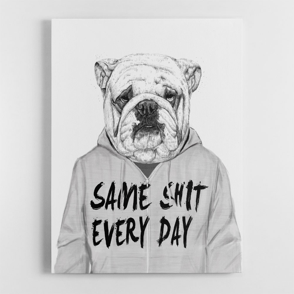 Same Sh*t Everyday