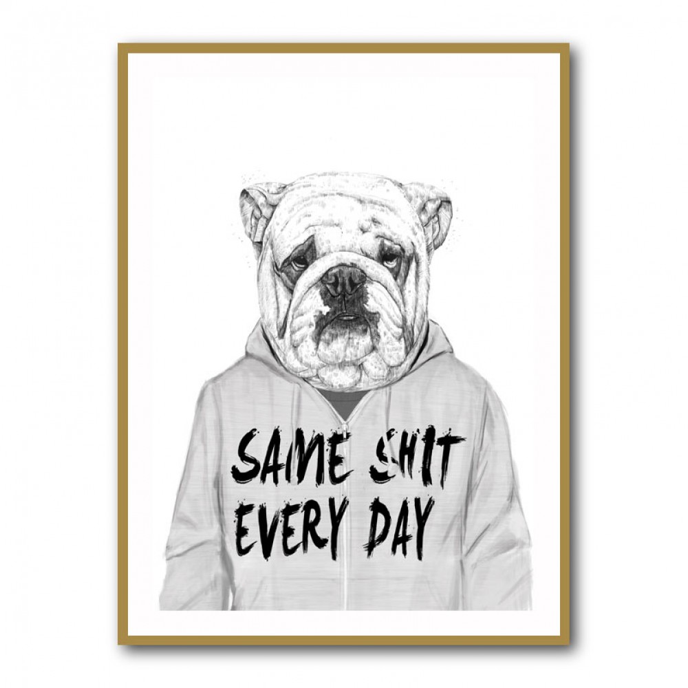 Same Sh*t Everyday