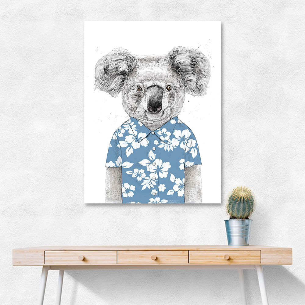 Summer Koala